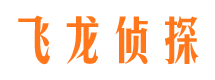 河口侦探公司